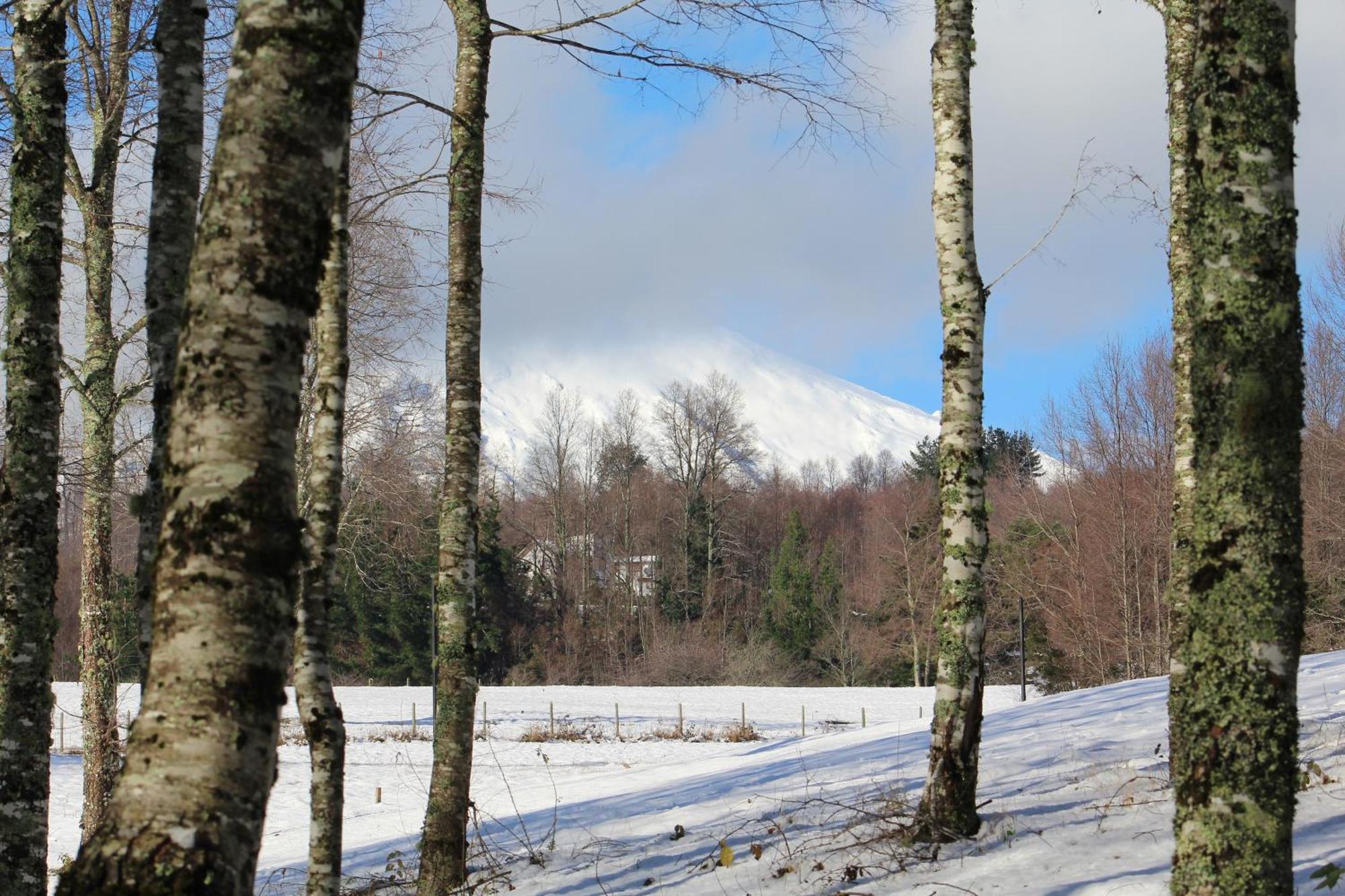 Cabanas Am Berg Пукон Екстер'єр фото