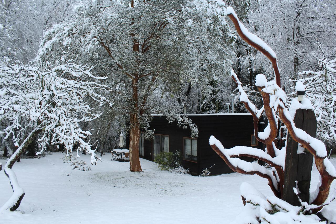 Cabanas Am Berg Пукон Екстер'єр фото